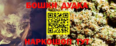 мдпв Заводоуковск