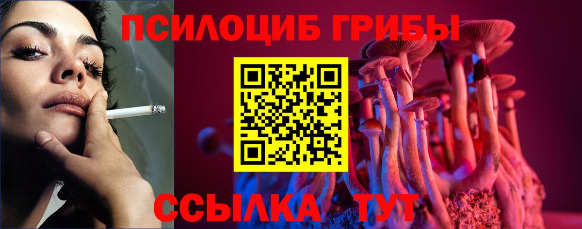 Галлюциногенные грибы Cubensis Лянтор